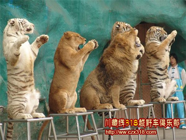 成都租车周边自驾游