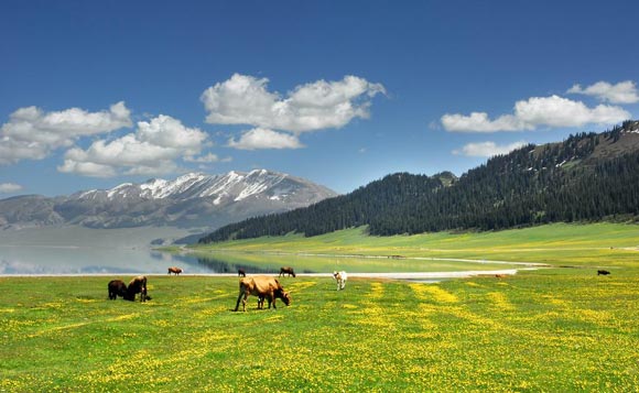<a href=http://www.czx318.com _fcksavedurl=http://www.czx318.com target=_blank >川藏线旅游</a>