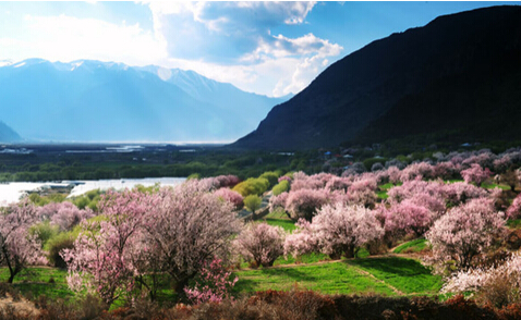 林芝风景