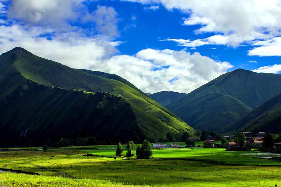 新都桥风景