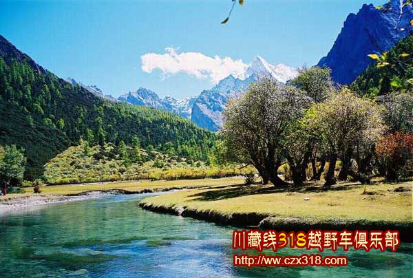 稻城Y83.jpg